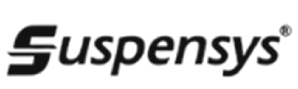 Logo 25
